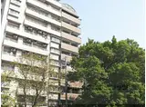 京都市営烏丸線 今出川駅 徒歩12分 10階建 築27年