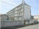 JR東海道・山陽本線 草津駅(滋賀) 徒歩15分 4階建 築42年