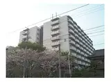 京福電気鉄道嵐山本線 山ノ内駅(京都) 徒歩3分 11階建 築50年