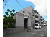 阪急嵐山線 上桂駅 徒歩13分 3階建 築30年