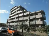 京阪宇治線 木幡駅(ＪＲ) 徒歩8分 7階建 築24年