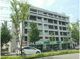 JR山陰本線 円町駅 徒歩3分 6階建 築42年