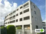 JR東海道本線 小田原駅 徒歩19分 4階建 築23年