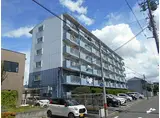 名古屋臨海高速あおなみ線 中島駅(愛知) 徒歩19分 6階建 築36年