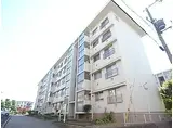 JR東海道・山陽本線 朝霧駅 徒歩7分 5階建 築55年