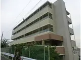大阪メトロ谷町線 阿倍野駅 徒歩9分 7階建 築16年