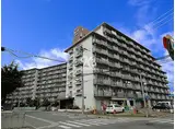 JR山陽本線 明石駅 徒歩15分 9階建 築44年