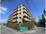 阪神本線 甲子園駅 徒歩11分 5階建 築19年