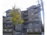 京都市営烏丸線 国際会館駅 徒歩5分 5階建 築18年
