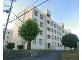 南海高野線 北野田駅 徒歩18分 4階建 築58年
