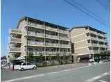 近江鉄道近江本線 愛知川駅 徒歩15分 5階建 築31年