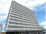 神戸新交通ポートアイランド線 北埠頭駅 徒歩4分 14階建 築43年