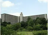 筑豊電気鉄道 西黒崎駅 徒歩29分 8階建 築42年