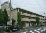 JR東海道・山陽本線 野洲駅 徒歩57分 3階建 築36年