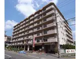 阪急嵐山線 松尾大社駅 徒歩4分 7階建 築50年