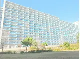JR湖西線 大津京駅 徒歩6分 15階建 築6年