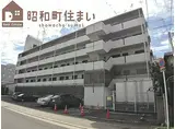 JR阪和線 鶴ケ丘駅 徒歩6分 5階建 築36年