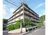 京都地下鉄東西線 醍醐駅(京都) 徒歩15分 5階建 築41年