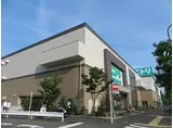 東急田園都市線 用賀駅 徒歩9分 5階建 築1年