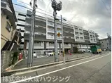 セレ二テ甲子園II