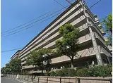 近鉄大阪線 大和高田駅 徒歩17分 7階建 築32年