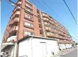 近鉄大阪線 大和高田駅 徒歩5分 7階建 築33年