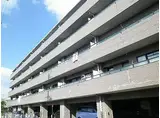 JR阪和線 鳳駅 徒歩15分 5階建 築29年