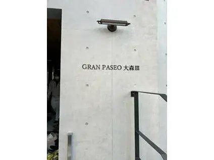 GRAN PASEO大森Ⅲ(1DK/4階)の外観写真