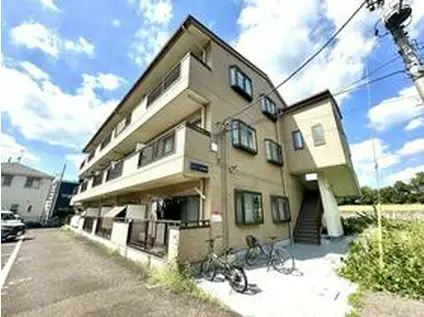 ルシール五番館(1LDK/2階)の外観写真