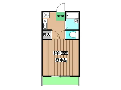 ハイツ松山(1K/1階)の間取り写真