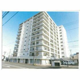 シャンボール静岡(1K/7階)