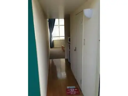 レオパレスセジュール(1K/1階)の玄関写真