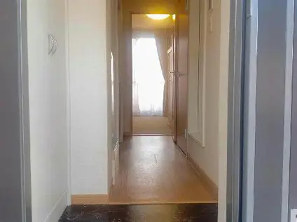 レオパレス瑛華(1K/3階)の玄関写真