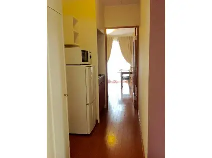 レオパレスA&R(1K/1階)の玄関写真