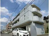 ストリーム市川