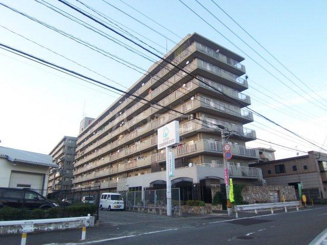 エバーライフ博多駅南(3LDK/5階)