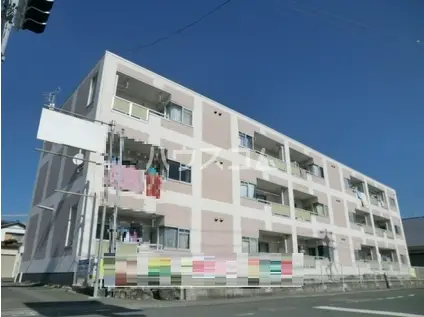 恵三コーポ(2LDK/1階)の間取り写真