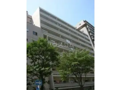 ドルフ磯子(3DK/6階)の間取り写真