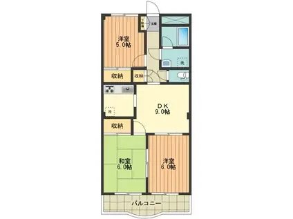 スカイヒルズF&M(3DK/1階)の間取り写真