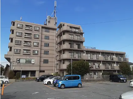 エクセルハイツKEYAKI(3DK/6階)の間取り写真