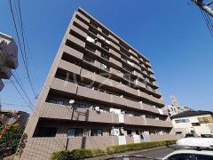 エクセルシオ(2DK/5階)