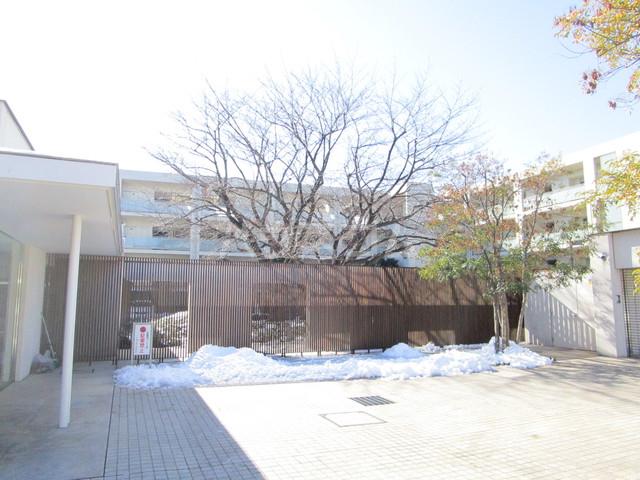 プラウド蘆花公園(3LDK/1階)