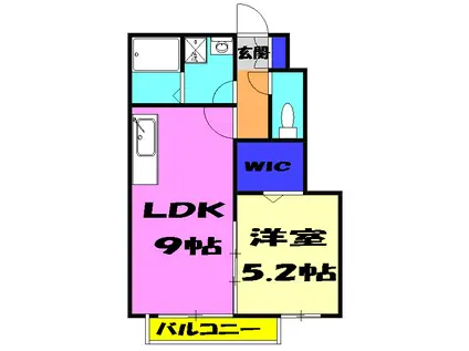 BOSSⅥ(1LDK/1階)の間取り写真