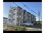 マンションベルツリ-