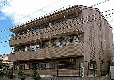 コーポ都(3DK/1階)