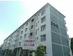 高洲二丁目団地(2LDK/4階)
