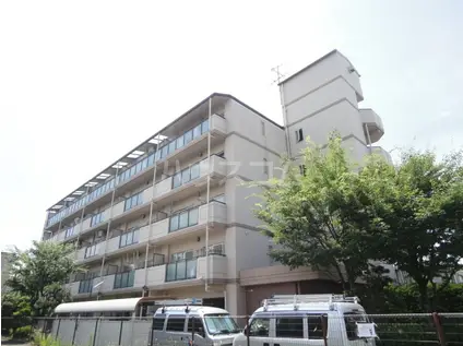 グレース泉大津(3LDK/4階)の外観写真