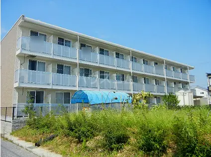 レオパレス蕾(1K/3階)の外観写真