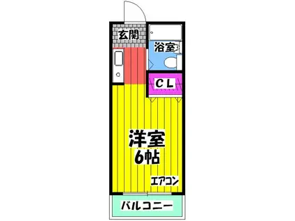 パレドール池上(1K/1階)の間取り写真