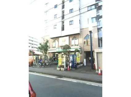 ピュアライフマツモト(1K/1階)の周辺写真